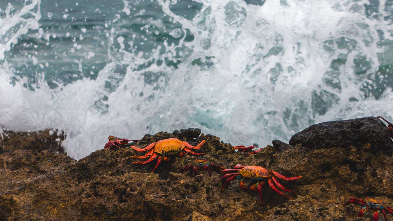 Islas Galápagos